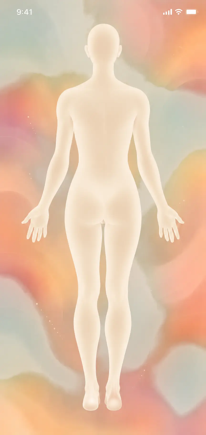 Back of the body